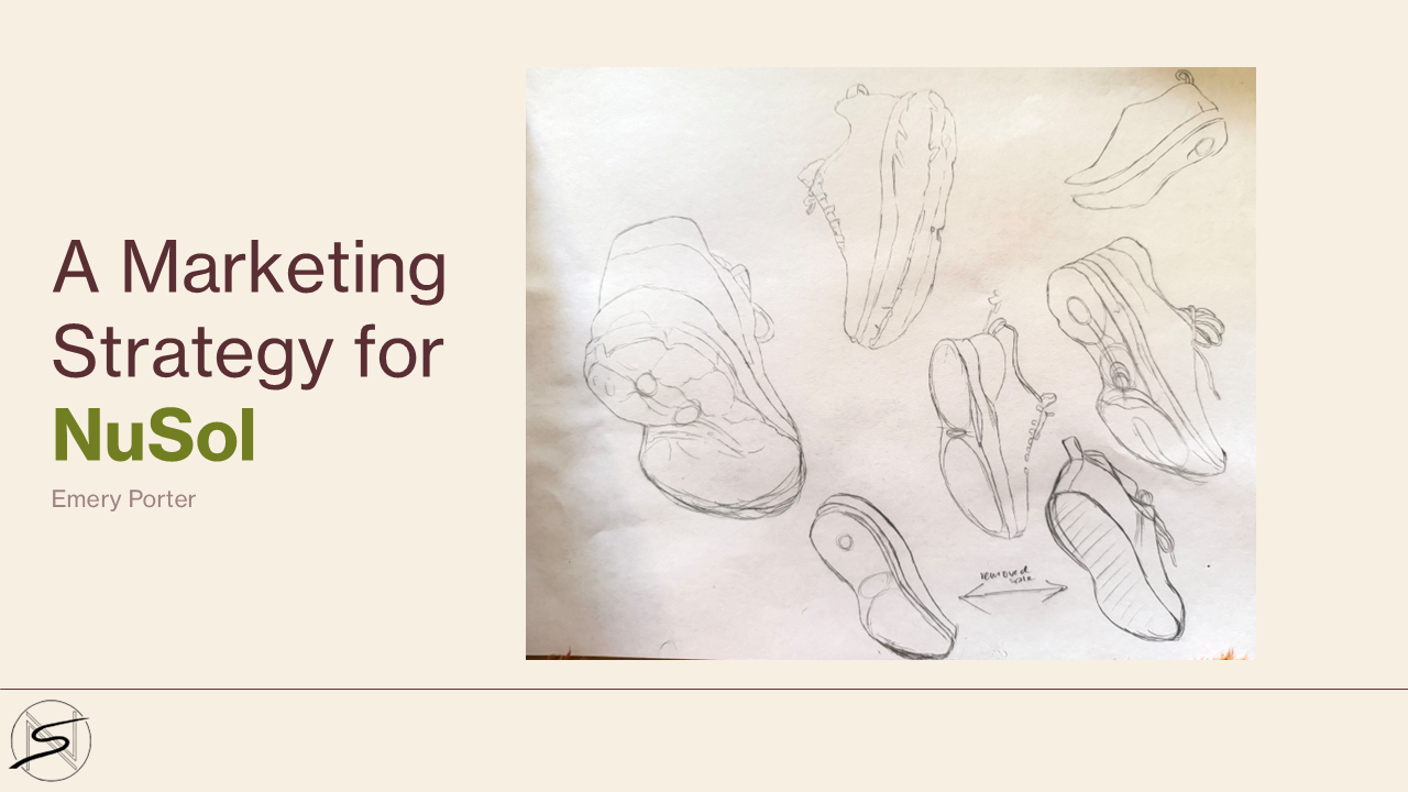 Screenshot of NuSol Pitch